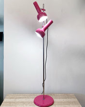 Load image into Gallery viewer, OSLO AUSTRALIA / Dual Head Floor Lamp - Pink