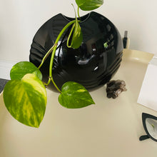 Load image into Gallery viewer, FANTASY #248 / Fratelli Guzzini Drink Trolley