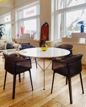 Load image into Gallery viewer, KARTELL / Papyrus Chairs in Transparent Chocolate Designed by Ronan &amp; Erwan Bouroullec
