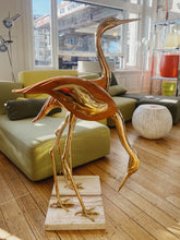 Load image into Gallery viewer, ANTONIO PAVIA / Italian Egrets Cranes
