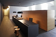 Load image into Gallery viewer, FLOS /  Smithfield Suspension Lamp by Jasper Morrison
