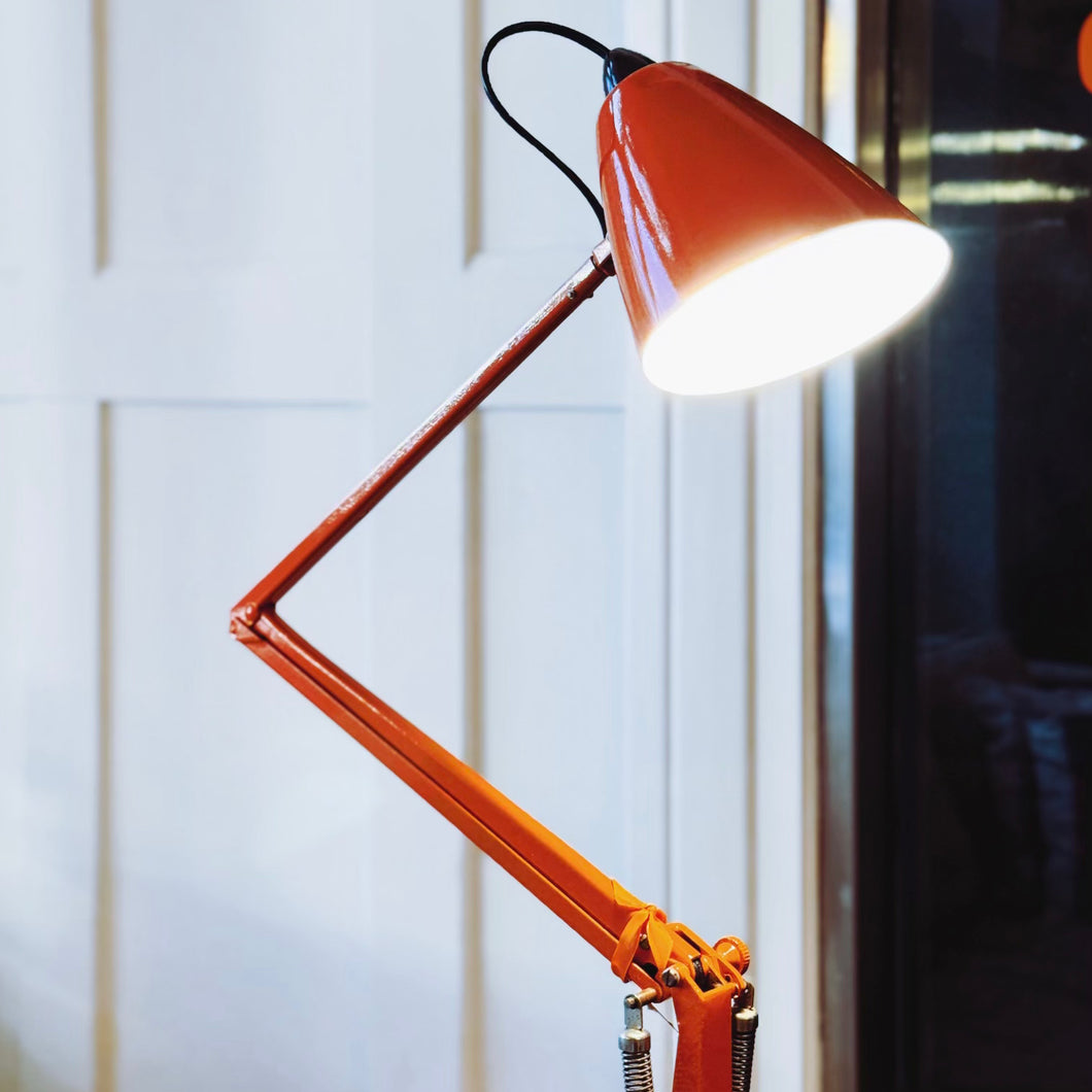 PLANET / Studio K Citrus Floor Lamps