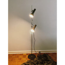 Load image into Gallery viewer, FANTASY #266 / Oslo Floor Lamp / Brown
